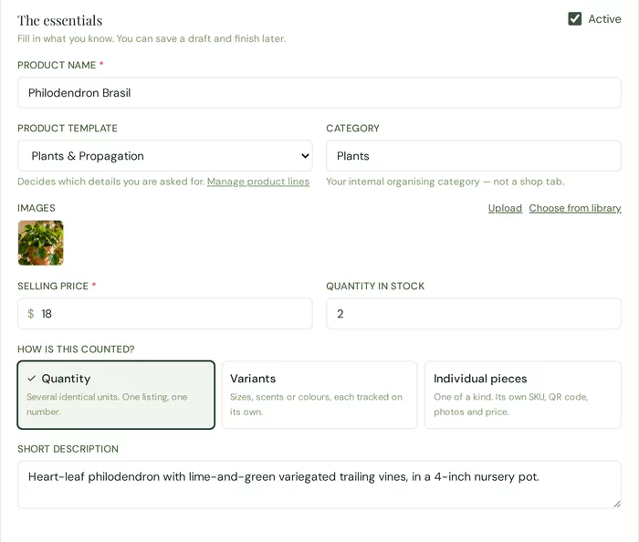 The Roots HQ product editor for Philodendron Brasil: its photo, name, category Plants, selling price $18, quantity in stock 2, and short description.