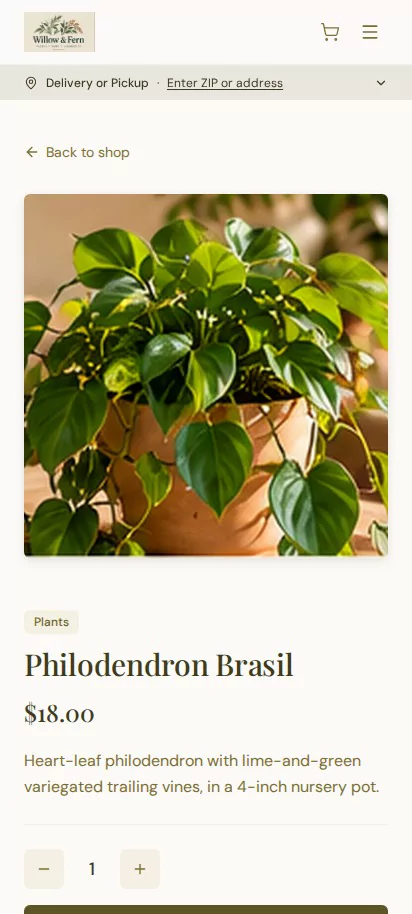 The Philodendron Brasil product page at phone width, with its photo, price and description.