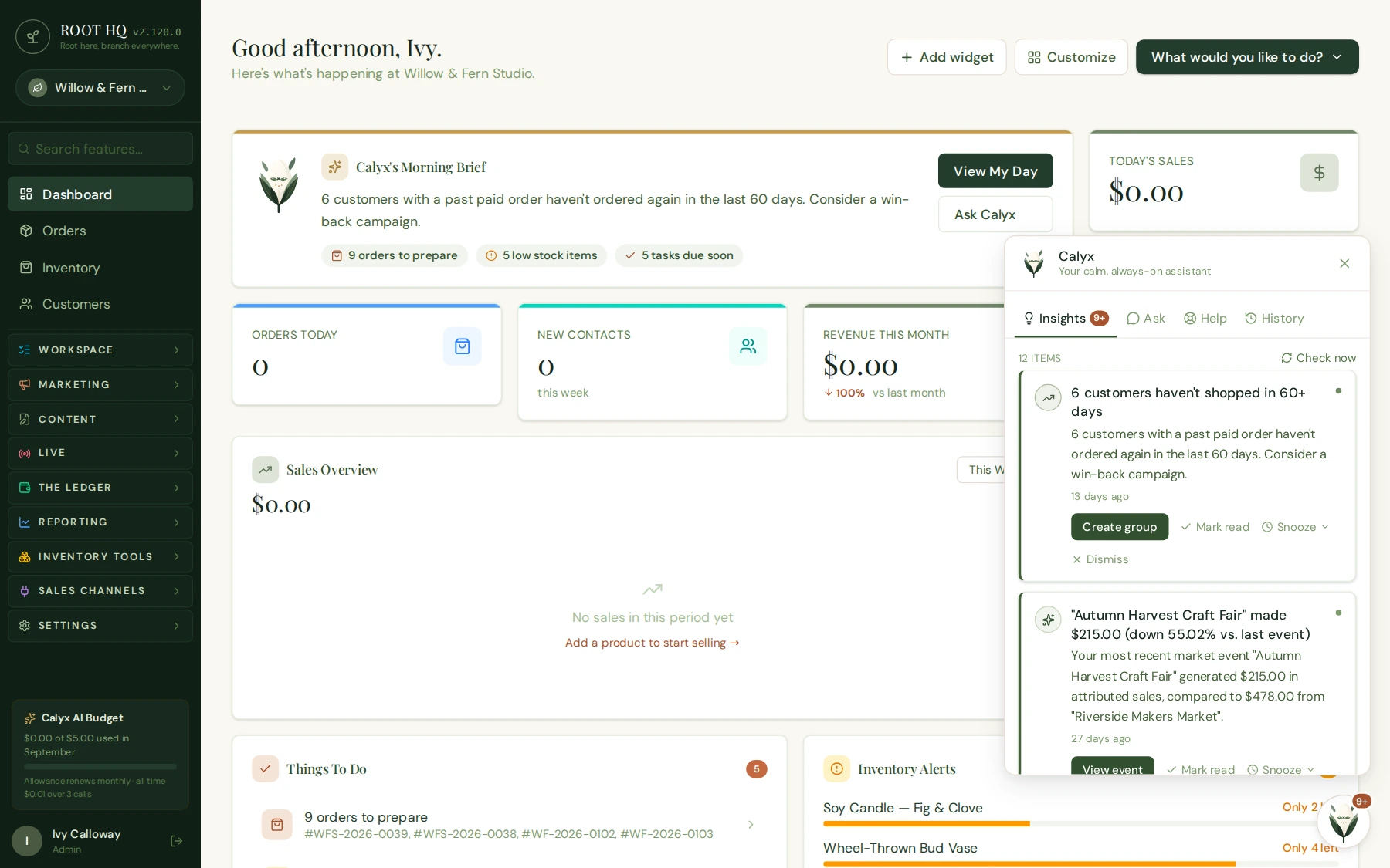 Roots HQ Calyx side panel open over the dashboard, showing Insights, Ask, Help, and History tabs, with an Insights tab reporting nothing currently needs attention