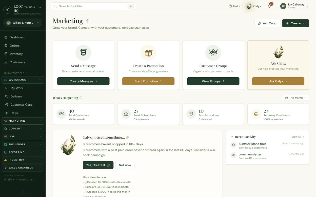 The Roots HQ Marketing hub for Willow & Fern Studio, with quick-action cards for Send a Message, Create a Promotion, Customer Groups and Ask Calyx, KPI tiles for 30 total customers and 25 email subscribers, and a Calyx suggestion: "6 customers haven't shopped in 60+ days" with Yes, Create It and Not now buttons.